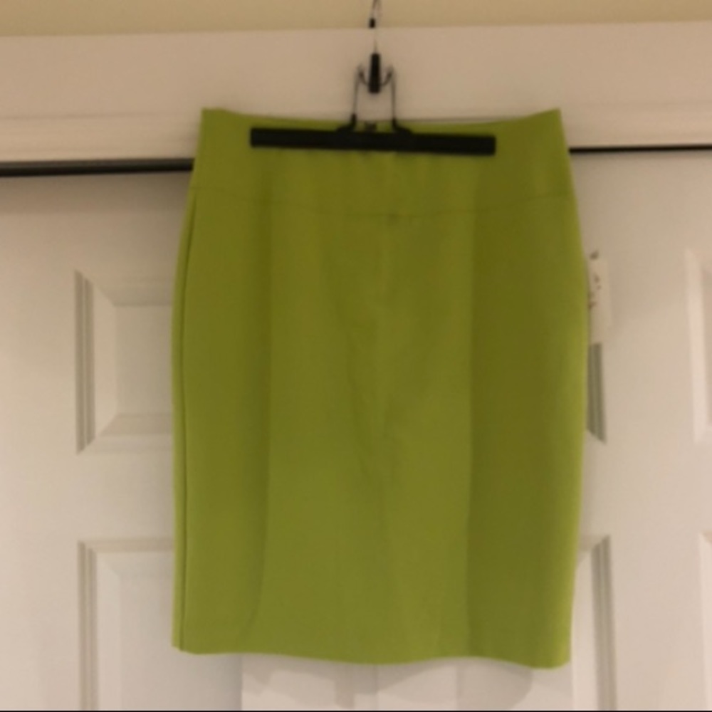 Ellen Tracy: Mid Length Skirt